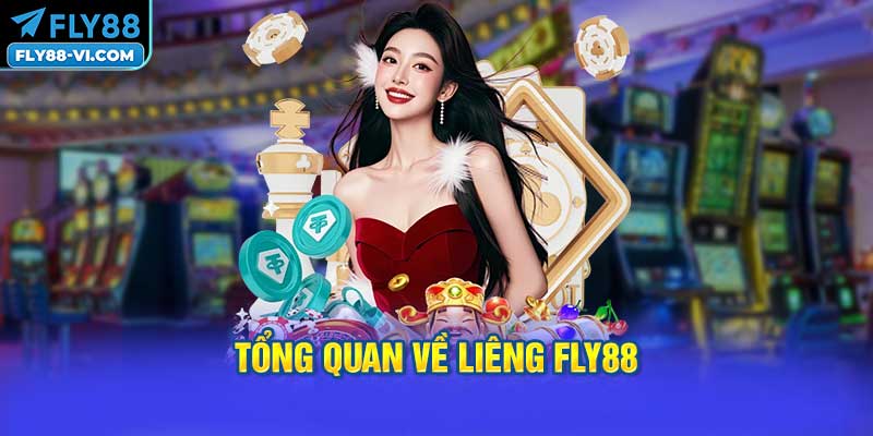Tổng Quan về Liêng FLY88